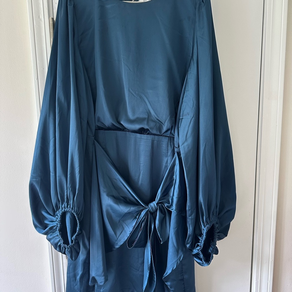 Petal & Pup Teal Mini Dress